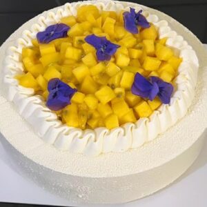 Entremets mangue-passion